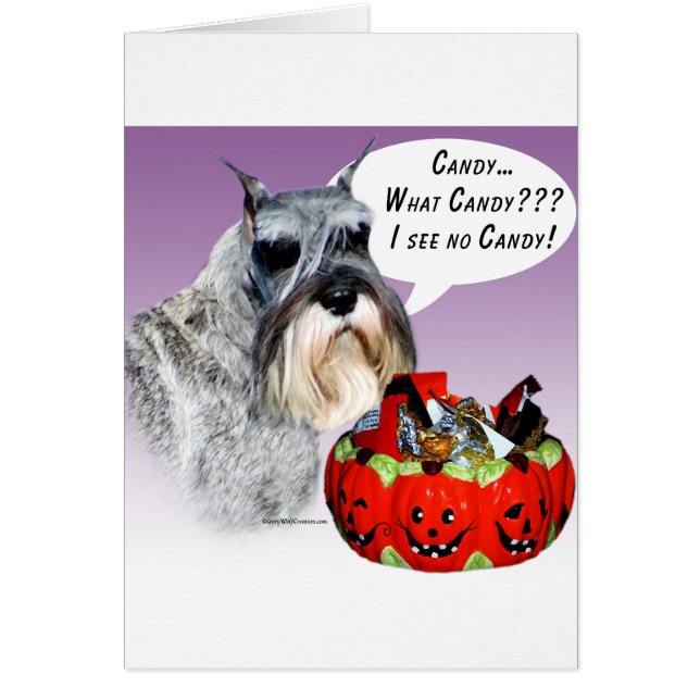 Miniatuur Schnauzer Halloween Snoep (Voorkant)