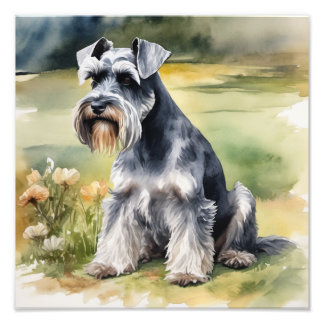 Miniatuur Schnauzer in de tuin - Waterverf Foto Afdruk
