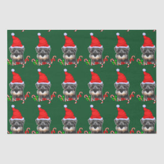 Miniatuur Schnauzer in Santa Hat Tissue Paper Tissuepapier