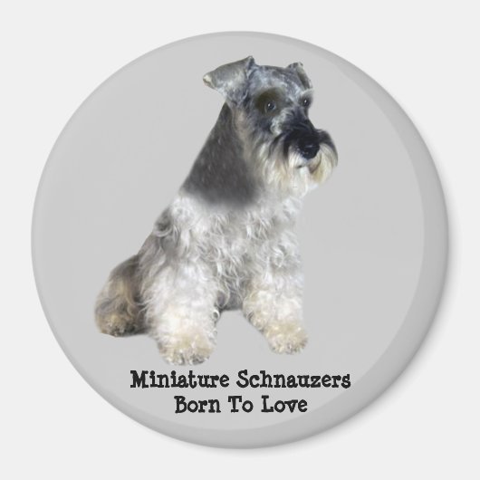 Miniatuur Schnauzer Magneet (Voorkant)