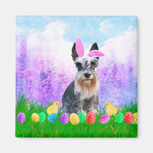 Miniatuur Schnauzer met paaseieren Bunny Chicks Magneet