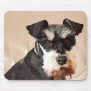 miniatuur schnauzer muismat