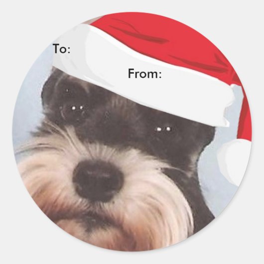 Miniatuur Schnauzer naar/van Kerst stickers (Voorkant)