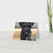 Miniatuur Schnauzer Note Kaart #3 - leeg (Voorkant)