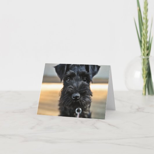 Miniatuur Schnauzer Note Kaart #3 - leeg (Voorkant)