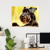 Miniatuur-schnauzer Poster (Thuiskantoor)