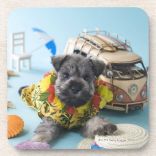 Miniatuur Schnauzer Puppy and Summer Vacation Onderzetter