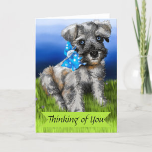 Miniatuur Schnauzer Puppy Denken aan jou Kaart