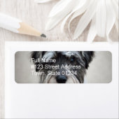 Miniatuur Schnauzer Return Label (Insitu)