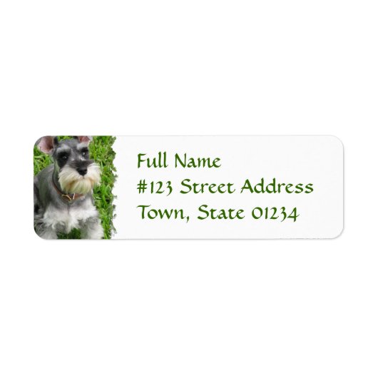 Miniatuur Schnauzer Return Label (Voorkant)