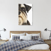 Miniatuur Schnauzer, studio shot, close-up Canvas Afdruk (Insitu (Slaapkamer))