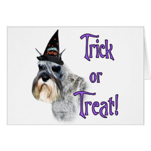 Miniatuur Schnauzer Trick