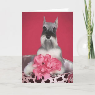 Miniatuur Schnauzer-Wenskaart Kaart