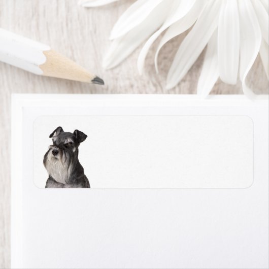 Miniatuur_Schnauzer zwart en zilver Etiket (Insitu)