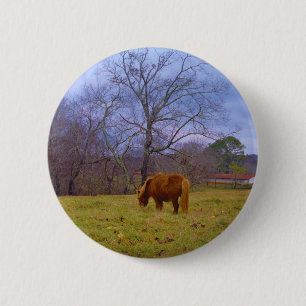 Miniatuurbruine paardenroesthemel ronde button 5,7 cm