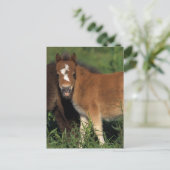Miniatuurgewassen in gras briefkaart (Staand voorkant)
