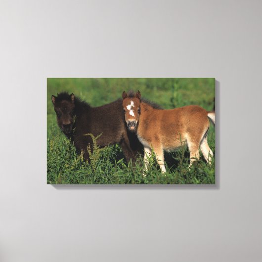 Miniatuurgewassen in gras canvas afdruk (Voorkant)