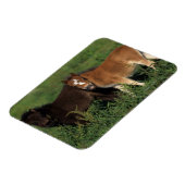 Miniatuurgewassen in gras magneet (Linkerzijde)