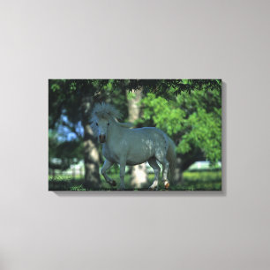 Miniatuurpaarden die in de bomen staan canvas afdruk