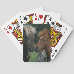 Miniatuurpaarden die pokerkaarten
