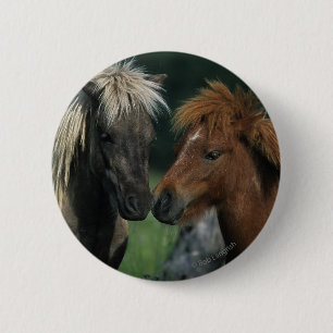 Miniatuurpaarden die ronde button 5,7 cm