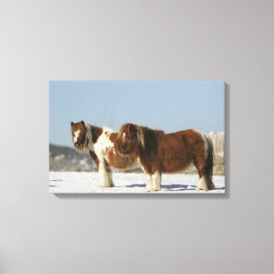 Miniatuurpaarden in de sneeuw canvas afdruk