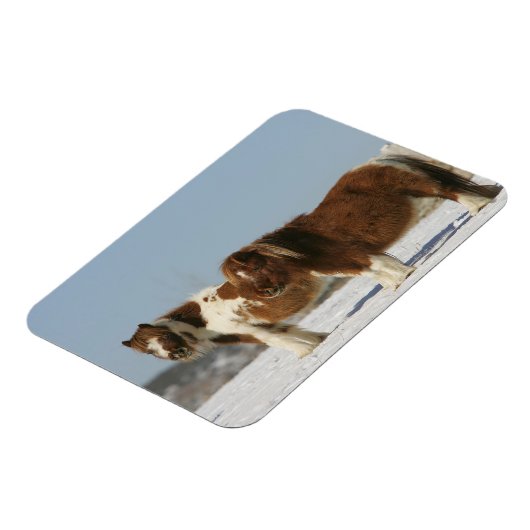 Miniatuurpaarden in de sneeuw magneet (Linkerzijde)