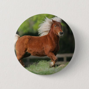 Miniatuurpaarden, stand ronde button 5,7 cm
