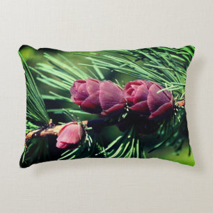 Miniatuurpine komt dicht accent kussen