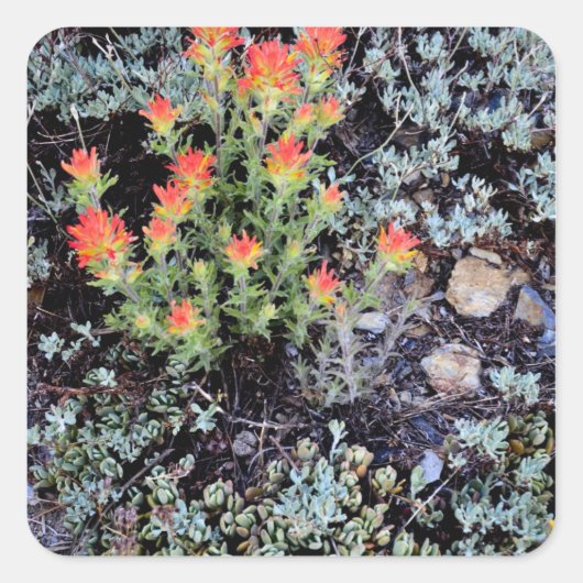 Miniatuurtuin bij Gem Lake Vierkante Sticker (Voorkant)