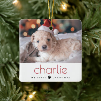 Minimal Modern Type Pet's Eerste Kerstfoto Keramisch Ornament