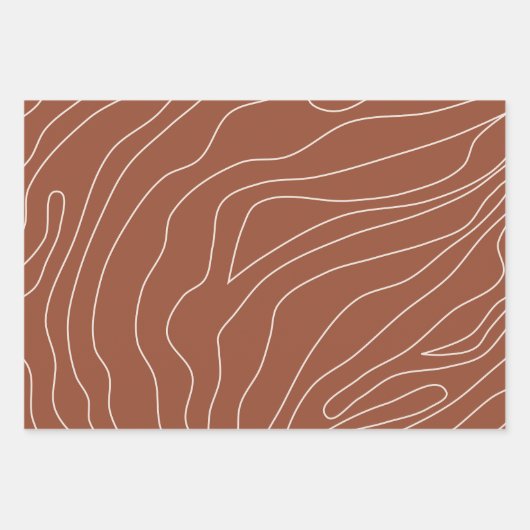 Minimale Abstracte lijnen Rust Terracotta Inpakpapier Vel (Voorkant)