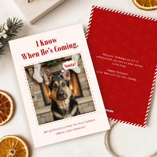 Minimale Grappige Schattige Hond Dier Foto Kerstmi Feestdagenkaart