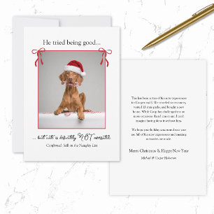 Minimale Grappige Stoute Hond Kat Huisdieren Kerst Feestdagenkaart