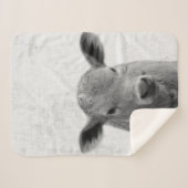 Minimale Koe van Black and White Peekaboo Nursery Sherpa Deken (Voorkant (horizontaal))