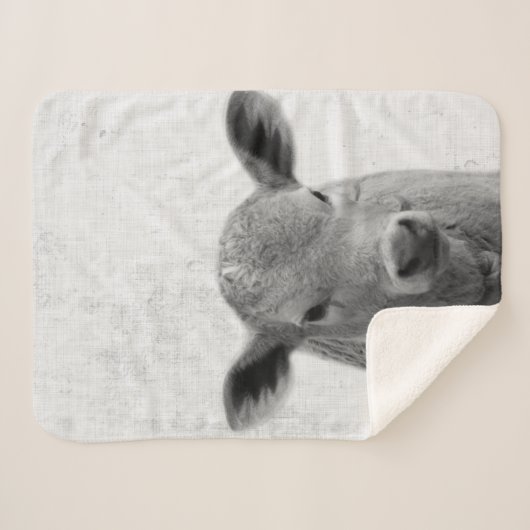 Minimale Koe van Black and White Peekaboo Nursery Sherpa Deken (Voorkant (horizontaal))