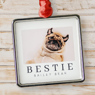 Minimale Modern Chic Pet Bestie BFF Foto Metalen Ornament