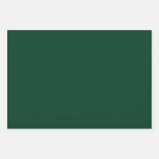 Minimale Sage Forest Donkergroene vaste kleuren Inpakpapier Vel (Voorkant 3)