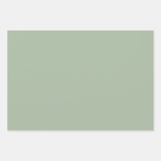 Minimale Sage Forest Donkergroene vaste kleuren Inpakpapier Vel (Voorkant 2)