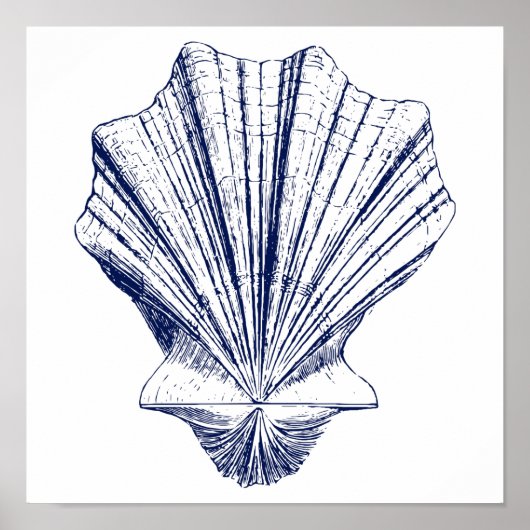 Minimale schellop-schelp in blauw poster (Voorkant)