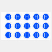 Minimale waterdichte moderne, blauwe en witte etik labels (Vel)