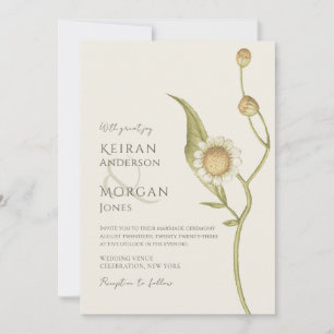 Minimale Wildflower Daisy Boho Simple Wedding Kaart
