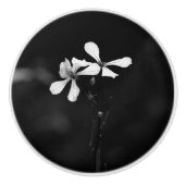 Minimale zwart-wit bloemen keramische knop (Voorkant)