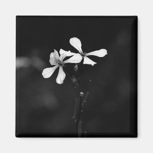 minimale zwart-wit bloemmotief magneet