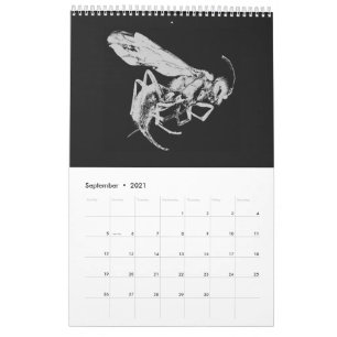 Minimale zwarte en witte insecten - Bijlen 2021 Kalender