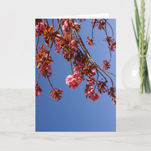 Minimalisme Roze Bloemen Kersenbloesem Liefde Hoop Kaart