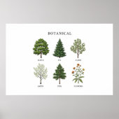 Minimalist Tree Names Poster (Devant)