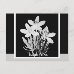Minimalistisch Briefkaart voor zwarte en witte Flo