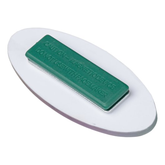 Minimalistisch Holografen Modern Logo Business Naambadge (Achterkant)