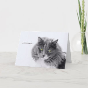 Minimalistisch kat Sympathie Kaart